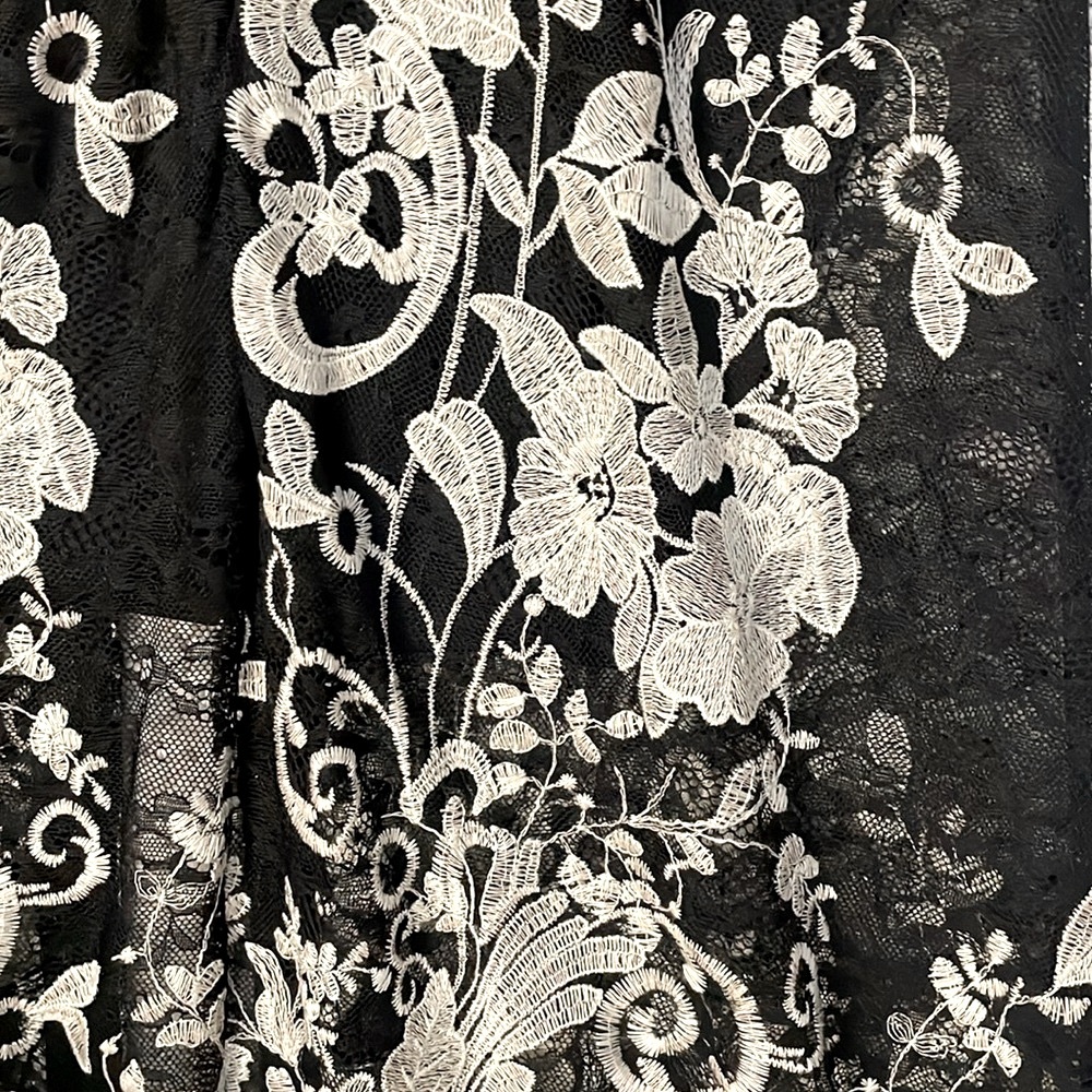 Stunning Venus lace dress - Picture 11 of 12